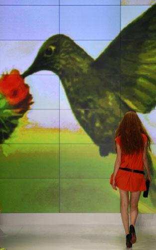 Hummingbird & flowers: Lisbon Fashion Week continues