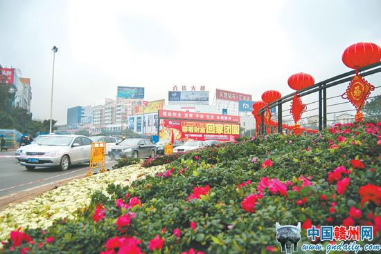 Ganzhou in Flowers to Greet New Year