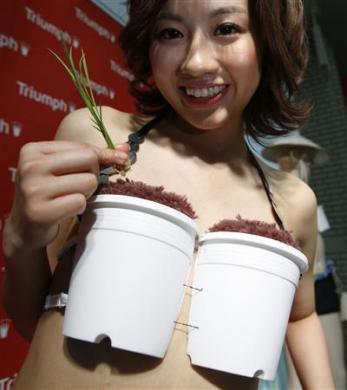 Rice bra supports Japan's farming fad