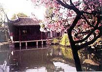 Travel in Wang Shi Yuan Garden  Suzhou of China