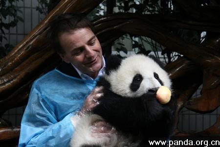 Loving the Giant Panda Forever- ON Semiconductor cares about giant panda for 10 years