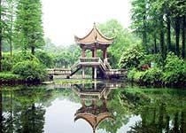 Wuhan Botanical Garden travels  Wuhan of China