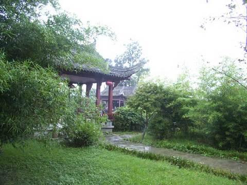 Dry garden of wingceltis  Mt.Huang in Anhui of China