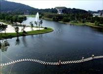 The monthly lake Sculpture Park travels  Shanghai of China