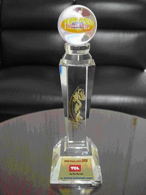 TCL Wins Vietnam's 2006 Best FDI Golden Dragon Award