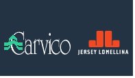 Carvico leader in warp-knit fabrics to set up plant in Vietnam