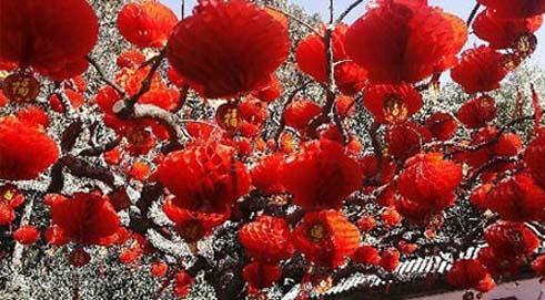 Changsha Spring Festival Temple Fair to Launch 8 Major Activities