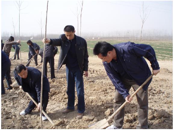 Jiyang County Plans to Plant 1 Million Trees This Year