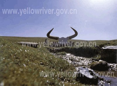 RBMP initiated expedition to the Yellow River Source