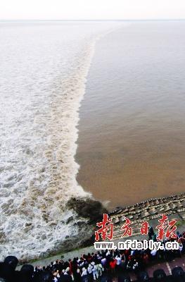Hundreds of Thousands of Tourists watched the Qiantang River Tidal Bore