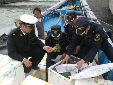 Release Vegetable for Jinmen Islands(with photo)