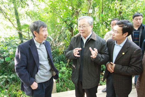 LU Yongxiang Inspects South China Botanical Garden