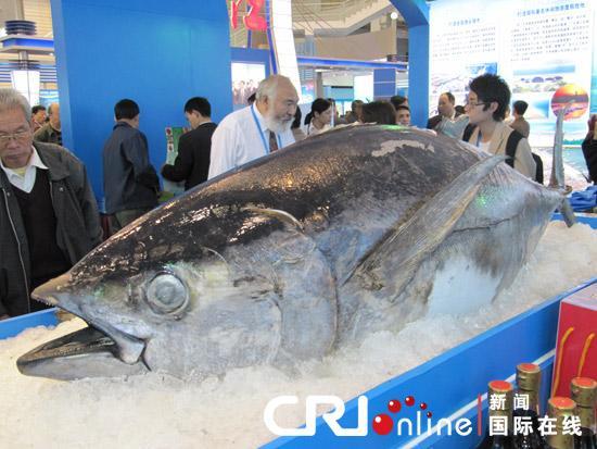 7 companies from Zhongshan concluded contracts of 1.6 billion yuan at the 1st Guangdong Marine Economic Expo