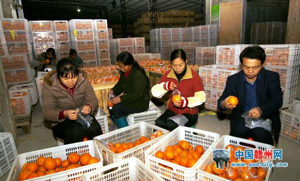 Help Farmers Keep Navel Orange Fresh