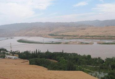 Northwest China region turns desert into green land