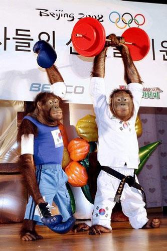 Orangutan blessing for Korean Olympic Team