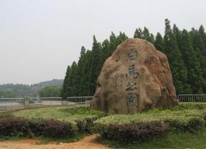 Travel in the white horse   s stone engraving park  Nanjing of China