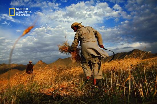 Journey  Collection   The Photography Show of National Geographic (China) Opened Yesterday