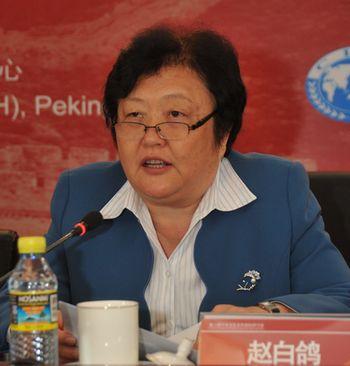 Vice Minister Zhao Baige Attended the Second International Roundtable on China-Africa Health Collaboration