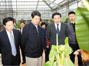 Chen Zongxing visited Jiangyin for an inspection