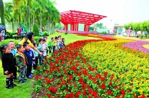 Shantou is to hold the 24th Mass Chrysanthemum Show