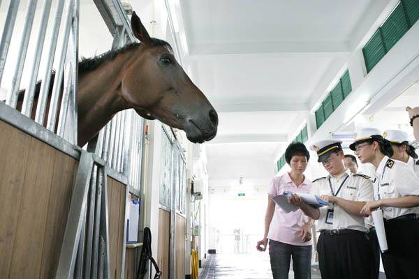 Release Race Horses for Asian Games Test Events (with photo)