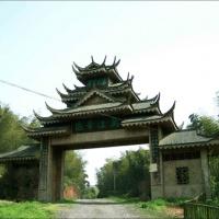 Bamboo Sea in Southern Sichuan