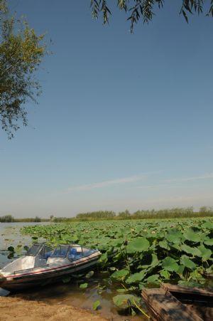 Happy tour around Hengshui Lake