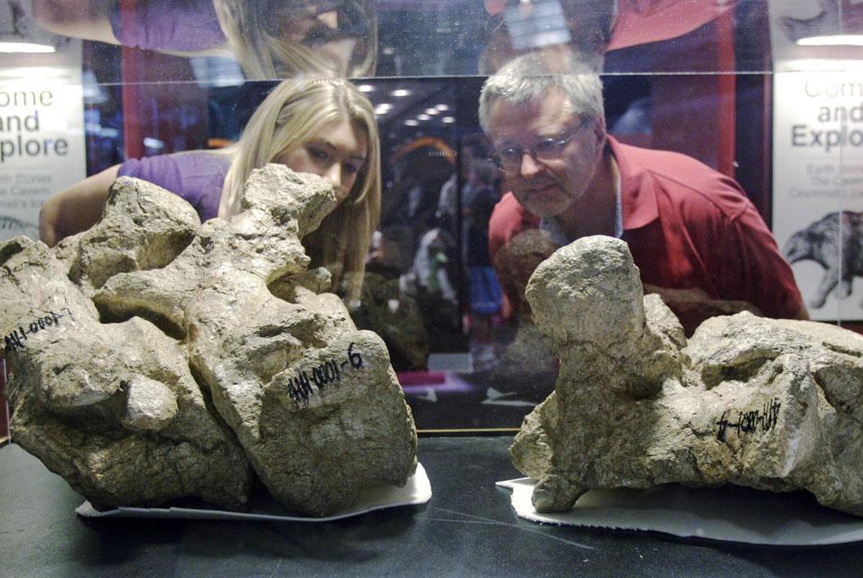 Chinese Dinosaur Fossils Make North America Debut in Cincinnati