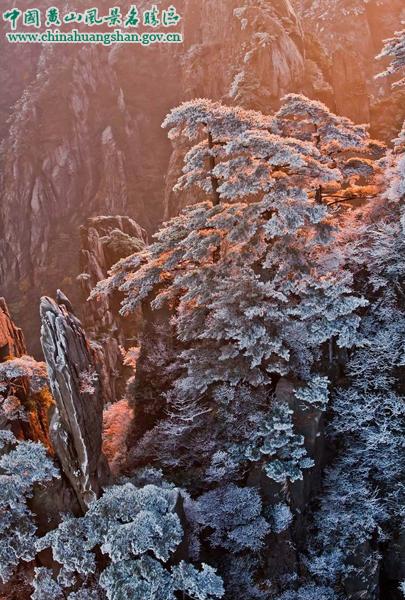 Pristine Winter Sightseeing at Huangshan Mountain