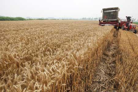 Price swings in agricultural products to be monitored