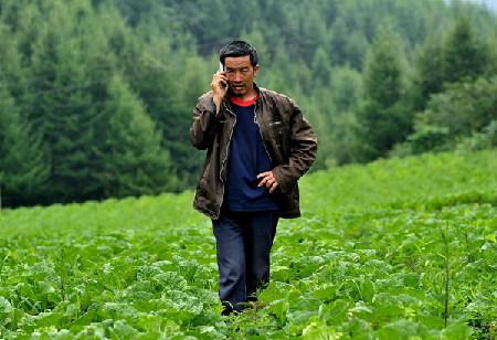 China moves to improve vegetable supply