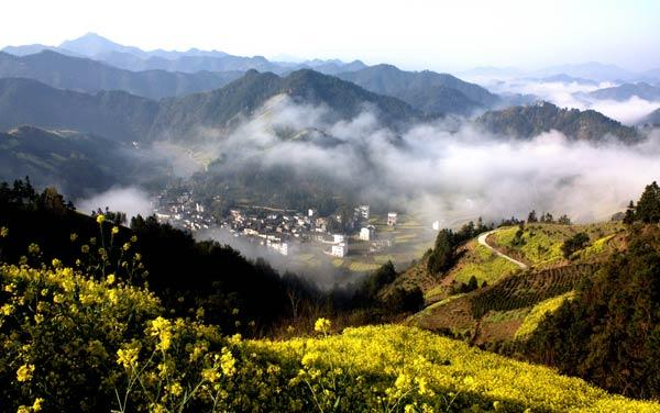 Huangshan to host Spring Rape Flower Photography Tour