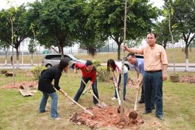 SCUT Party members plant trees on campus