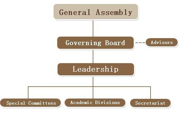 Organization Structure