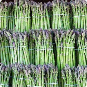 Despite FTA, Peru asparagus not price competitive in China, USDA says