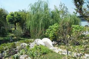 Nanjing China afforests Review Garden and travels  Nanjing of China