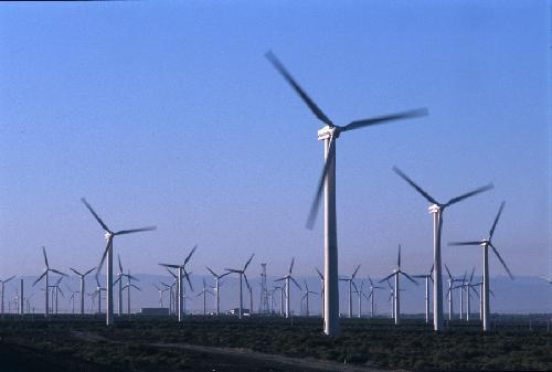 China to double wind power generation capacity