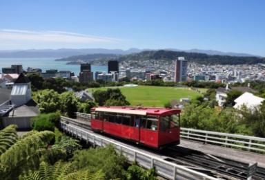 Wellington draws Australian tourists