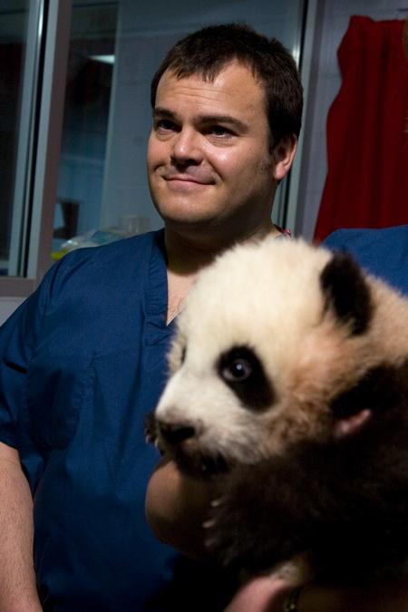 Baby panda at Zoo Atlanta is named Po