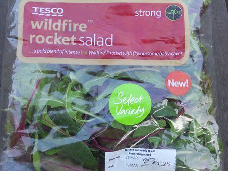 Tozer's Wildfir rocket variety helps Bakkavor achieve first to market launch with new Tesco salad leaf product
