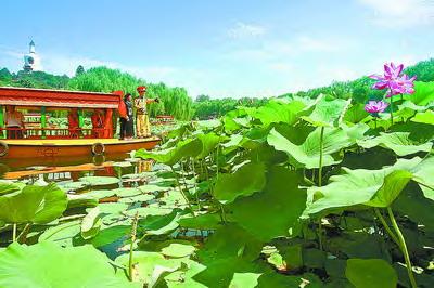 Lotus Festival open in Beihai park