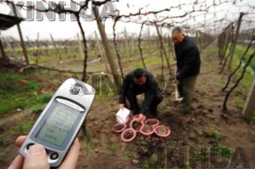 No sour grapes for farmers with GPS