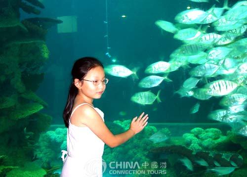 Qingdao Aquarium