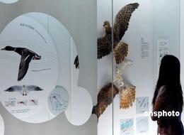 China's Biggest Zoology Museum Opens at CAS Park