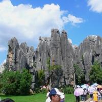Stone Forest Park
