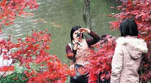 Changsha's Total Tourism Revenue in 2010 Ranks 8th Among Provincial Capital Cities