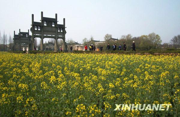 Shexian: Rapeseed flower tourism in spring