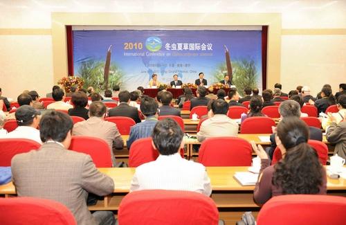 International Conference on Chinese Caterpillar Fungus Held in Qinghai