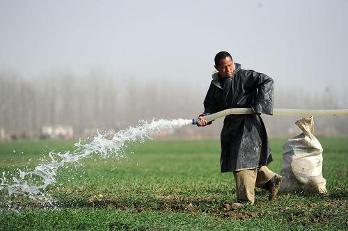 Drought plagues North Anhui